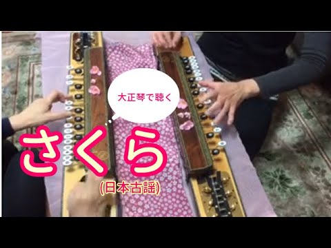 a94 大正琴　琴伝流　かえで　もみじ　山桜　まとめ a94 大正琴 琴伝流 かえで もみじ 山桜 まとめ 弦楽器 - 弦楽器