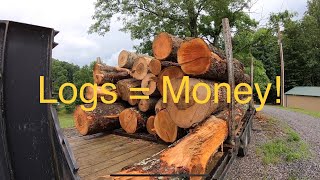Selling Logs, is it worth the effort? How much can you make?
