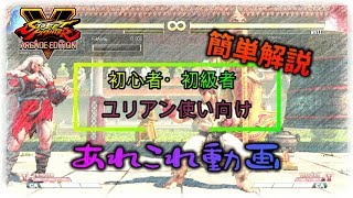 Sf5Ae初心者初級者ユリアン使い向け あれこれ字幕簡単解説