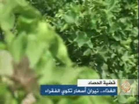 قضية الحصاد / الغذاء.. نيران أسعار تكوي الفقراء