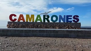 Camarones y Bahía Bustamante, Chubut