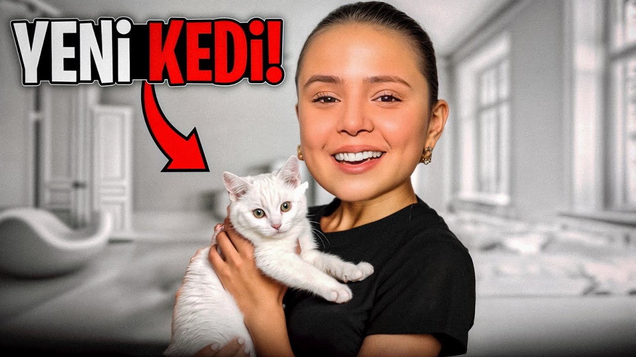 YENİ KEDİ SAHİPLENDİK VLOG