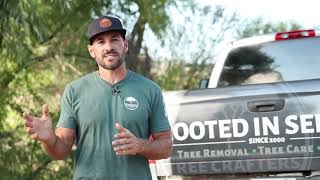 Why Hire a Certified Arborist?