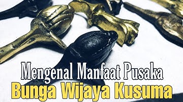 Tuah Pusaka Bunga Wijaya Kusuma