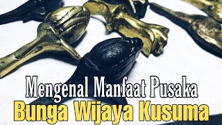 Download Lagu Tuah Pusaka Bunga Wijaya Kusuma MP3