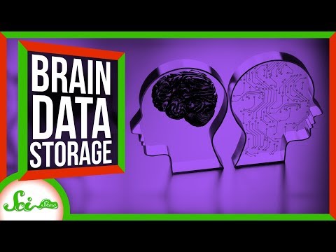 Video: A Million Gigabytes In Human Memory - Alternative View