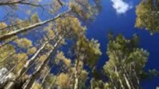 Download lagu Terharu by hj rhoma irama