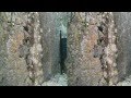 Castellar de la Frontera in Spain - YouTube