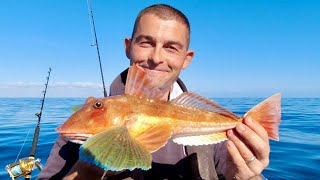 Gurnard Sea Robin Catch and Cook  Three Generations of family cook Seafood | The Fish Locker