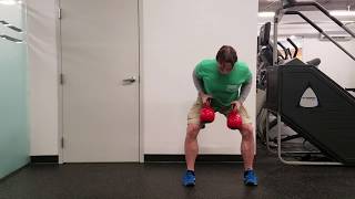 Kettlebell Batwing Gorilla Row