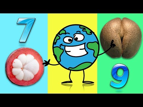 Amazing fruits and vegetables | compilation 7 9