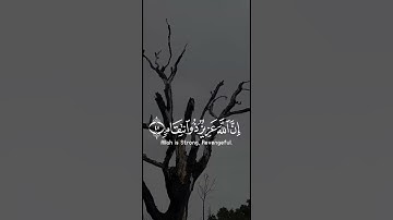 تلاوة قرانيه تريح القلب والنفس من سورة إبراهيم بصوت الشيخ عبد الرحمن مسعد
