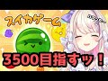 【スイカゲーム】最高記録目指すッ ・・・!!!!!!!!【わたがしうのう!】