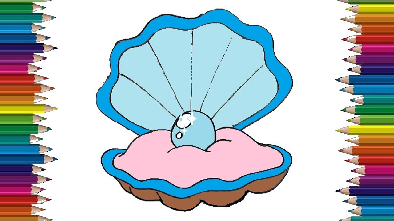 How To Draw An Oyster With A Pearl | Oyster Drawing And Coloring