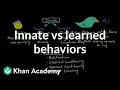 Innate Versus Learned Behaviors In Animals And Humans