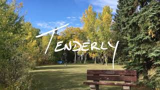 Don Bartlett - Tenderly - Ukulele Arrangement With Violin Solo By Suzie Collier
