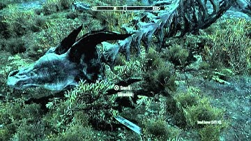 The Elder Scrolls V: Skyrim / Walkthrough - Part 10 - The Greybeards Call [Skyrim Gameplay]