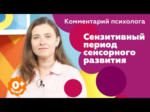 Сензитивный период сенсорного развития