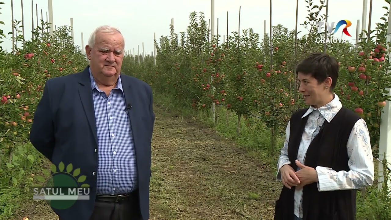 Satul meu - Ghidici, Perișor