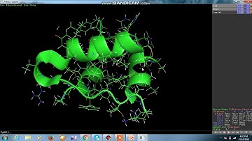 Introduction to PyMol Visualization Tool