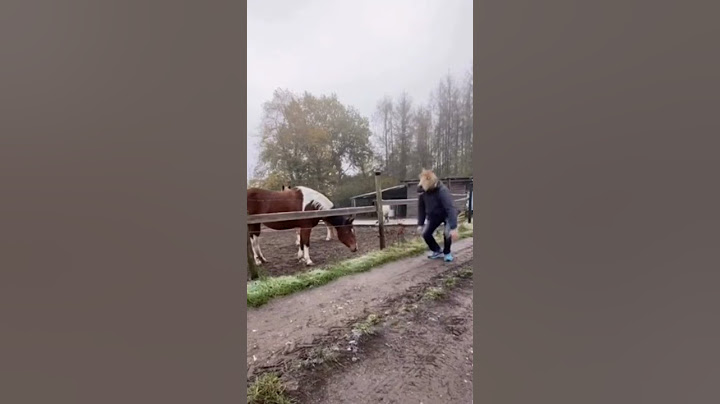 Horse's Reaction When His Girlfriend Shows Up Wearing A Horse Mask Will Make You Laugh Out Loud 🐴🐎