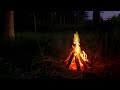 Crackling Campfire in the Woods: a Spooky Halloween Ambience