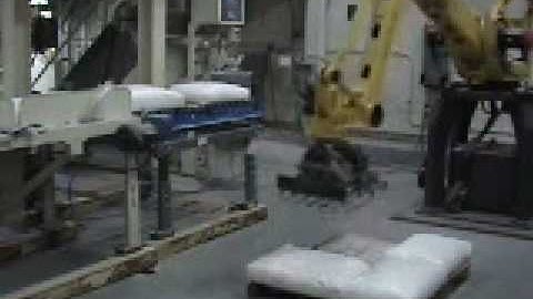 Robot Palletizer