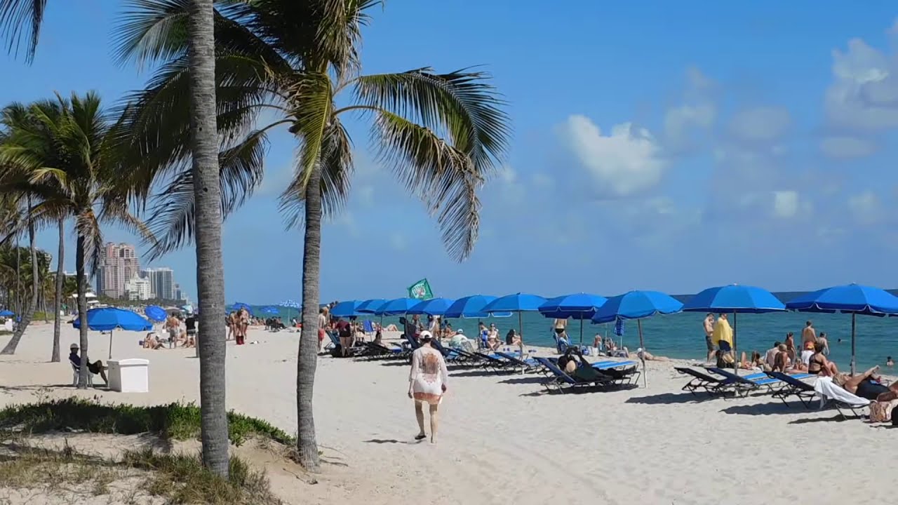Fort Lauderdale Beach Webcam Highlights - YouTube