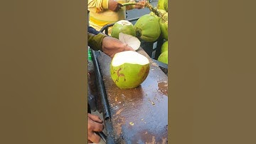 Testing the Best Machetes for Opening Coconuts