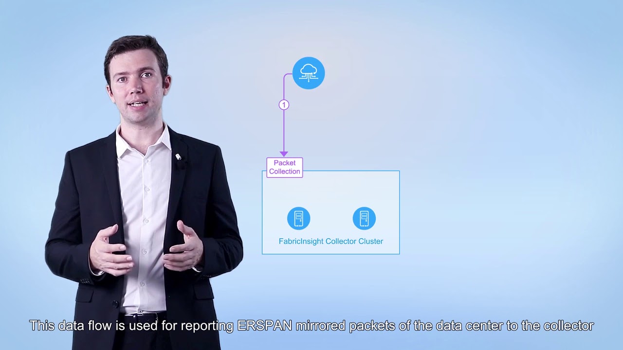 Huawei's FabricInsight Basic Networking Introduction