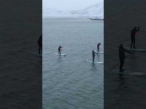 SUP Териберка SUPSURF.CAMP