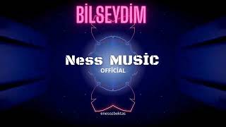 BİLSEYDİM- NESS MUSİC OFFİCİAL (ANADOLU ROCK) HAREKETLİ 
