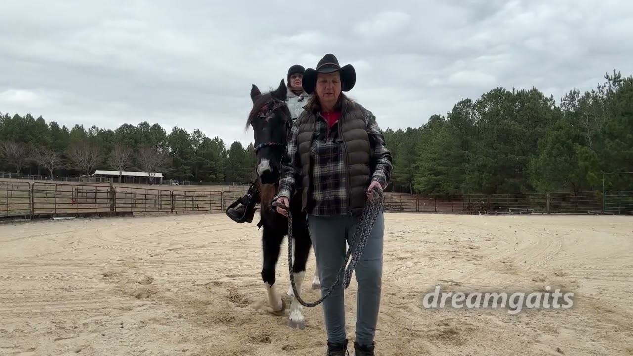 Practical Adult Beginner Riding Lessons: Lesson 1 