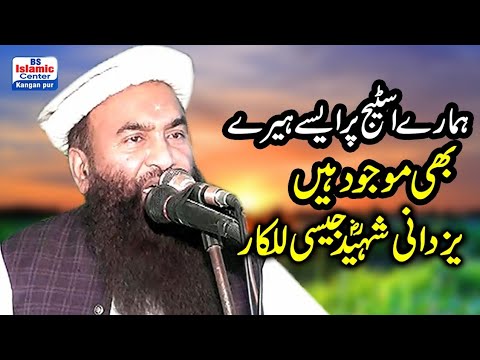 Very great speech By allama Riaz ilahi Zaheer Shib l ...