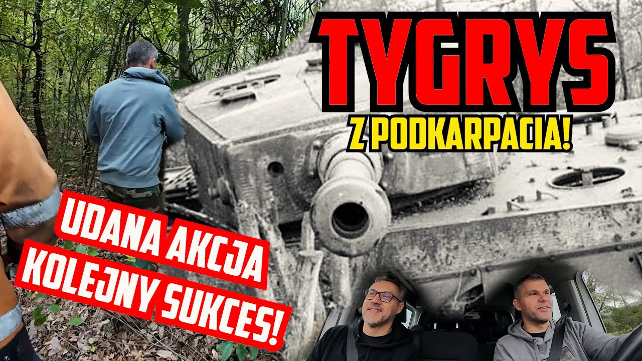 Tygrys na Podkarpaciu! Niespodziewane odkrycie!