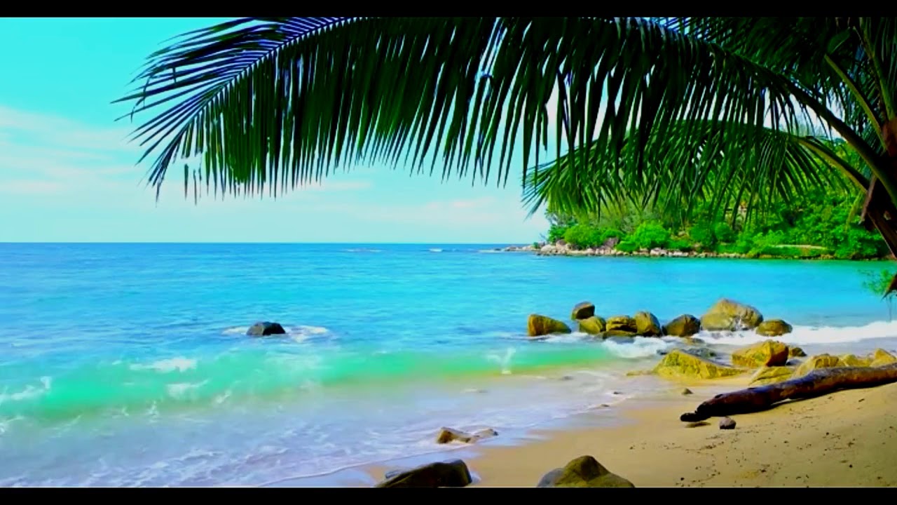 Rest and Relax, Ocean Wave sounds for relaxing. - YouTube