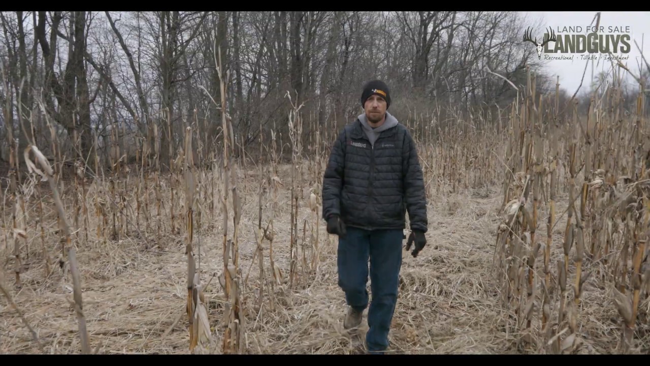 Incredible Waterfowl Property For Sale In Illinois (300 Acres) YouTube