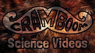 Eggs-Pectations Eggs-Eeded