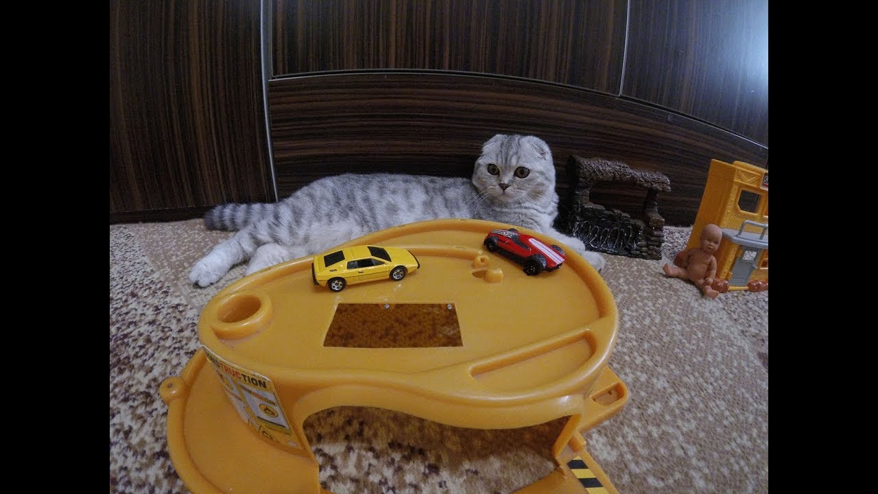 Коты на машинах игра