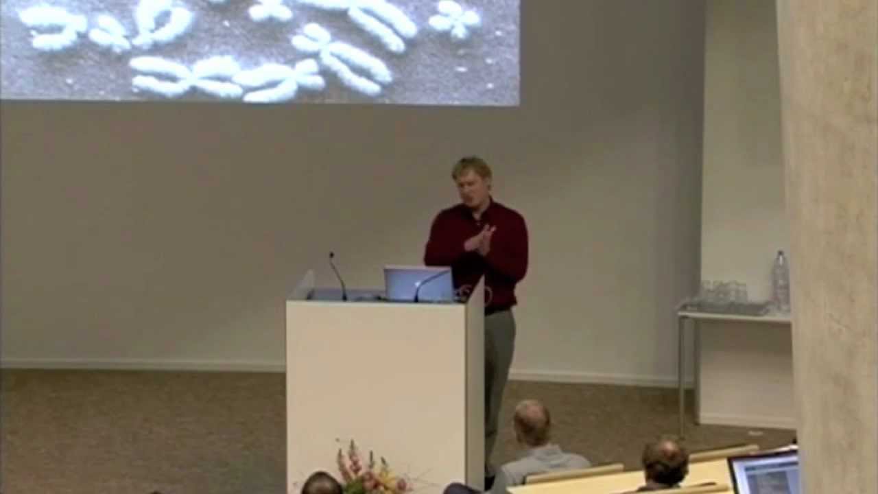 Ben fry phd thesis