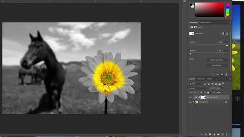 Black and White Adjustment Layers in Photoshop including Color Splash