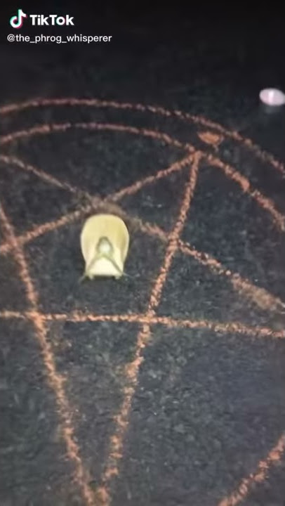 satanic frog club