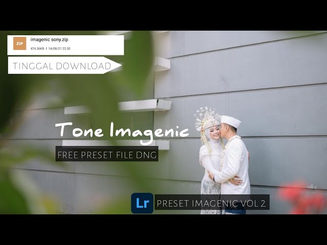 tone imagenic vol 2 | lightroom mobile free preset file DNG for Sony,  canon class=