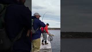 Слетали на выходные на рыбалку в Норвегию за морской форелью #norway #fredrikstad #seatrout