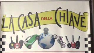 RIPARARE TELECOMANDO ALLDUCKS PER CANCELLO MILANO