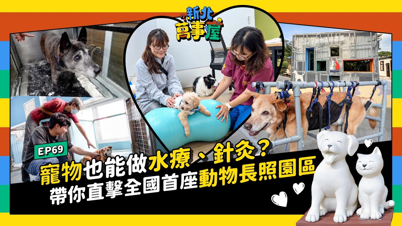 寵物也能做水療、針灸？帶你直擊全國首座「動物長照園區」！ |【新北萬事屋】EP69