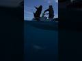 In the deep blue camping fishing rottnestisland ocean freediving spearfishing freediverlife