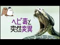 【ゆっくり解説】突然変異5選:新遺伝子はどうやって生まれるのか?【 進化 / 遺伝子 / 科学 】