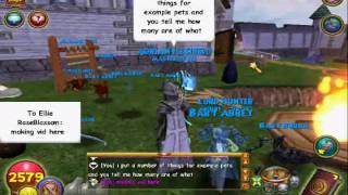 Wizard101 how many game instructions