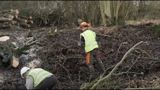 Morning Live - Ghost Ponds & Zombie Ponds - 25th February 2025